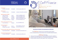 Brochure ECELLFRANCE