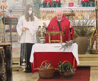 Die Segnung der Palmbuschen fand coronabedingt im Gotteshaus statt.