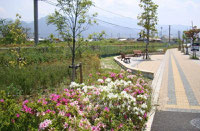 新居浜駅前公園(県道133号線沿い)