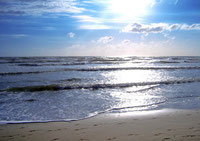 Live aus Binz !