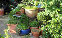 Kräutergarten