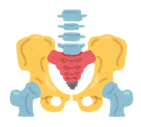 骨盤のゆがみ