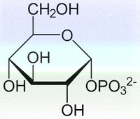 glucose