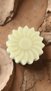 Conditioner, feste Spülung, Sheabutter, glänzendes Haar, Feuchtigkeitsspendend