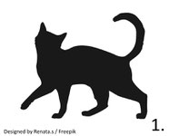 Katzenmotive Heimatkiesel