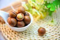 Macadamia (photo pixabay)