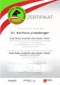 Zertifikat für Therapieteam