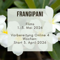 Meditation in Motion. Einfache geführte Meditation für Anfänger, Meditationstipps, Entspannung, Achtsamkeit, Meditation Online-Kurs, Meditationskurs in Zürich Oerlikon. Meditationsausbildung und Meditationslehrer Ausbildung in Zürich Oerlikon und Flims.