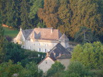 Chateau in Plottes