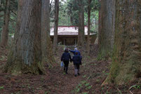 矢越神社　参道