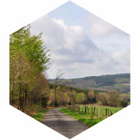Vergezicht belgische Ardennen