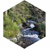 Waterval belgische Ardennen