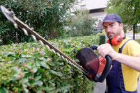 ouvrier espace vert au travail