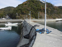 アジ・アジングの釣り場　周南市