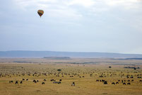 バルーンサファリ