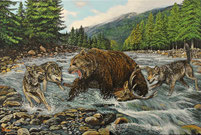Aufruhr am Fluss 40 x 60 