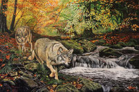 Wölfe am Bach 40 x 60 (2) 