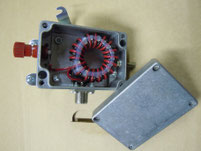 Antenna verticale canna da pesca con balun 4:1