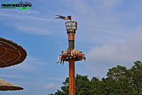 Krähennest Zierer Family Tower Free Fall Attraktion Eifelpark Gondorf