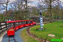 Mini Zug Parc Merveilleux Tierpark Zoo Bettembourg Luxemburg Luxembourg Freizeitpark Themepark Größter Tropenhaus Ausflugsziel Familie Kinder Attraktionen Fahrgeschäfte