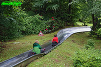 Fichtenflitzer Wiegand Rodelbahn Sommer Rodel Bahn Panorama Park Sauerland Freizeitpark Ausflugsziel Wildpark Rodelbahn Sommer Ausflugsziel Familien Ausflug Info Attraktionen Fahrgeschäfte Tiere