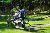 Pferdebahn Hoppel Gockel Reitbahn Metallbau Emmeln Landerlebnis Jansen Westerstede Freizeitpark Themepark Amusementpark Achterbahn Attraktionen Fahrgeschäfte Parkplan Park Plan Anfahrt Parkplatz