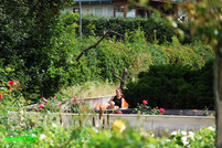 Bob Coaster Wiegand Bobbahn Churpfalzpark Churpfalz park attraktionen achterbahn info preise adresse park plan map guide