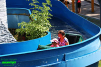 Wildwasserbahn Log Flume Churpfalzpark Churpfalz park attraktionen achterbahn info preise adresse park plan map guide