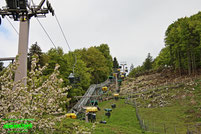 Sessellift Steinwasen Park Baden Württemberg Freizeitpark Themepark Wildpark  Oberried Attraktionen Fahrgeschäfte Achterbahn Rodelbahn Infos Info News Schwarzwald Seilbahn 