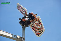 Götterflug Gerstlauer Sky Fly Roller Belantis Das Abenteuer Reich Freizeitpark Themepark Sachsen Park Plan Map Guide Achterbahn Attraktionen Fahrgeschäfte Rollercoaster Anfahrt Adresse Preise Öffnungszeiten