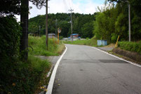 写真8