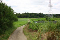 写真4