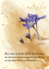 christliche Karten Leberblümchen Mixed Media Aquarell, Fotografie