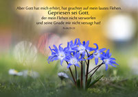 christliche Karten, Psalm 66, 19/20 blaue Blumen