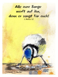 christliche Karten Blaumeise, alle Sorgen werfet auf ihn, denn er sorgt für euch 1.Petr.5,7