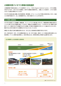 小規模木質バイオマス発電の技術選択