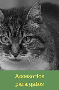 accesorios para gatos 