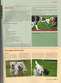 Terrier 09/2012, Seite 1