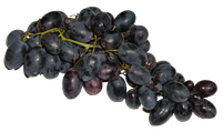 Grappe de raisin 