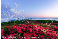 ポストカード　「室根山のツツジ」　写真 遠藤凌平／イラスト 戸田さちえ
