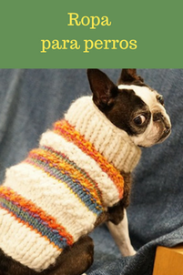 ropa para perros