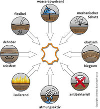 Flexibel, wasserabweisend, schützend, elastisch, antibakteriel, atmungsaktiv, isolierend, dehnbar und reißfest. Leder vereint alles in einem Material.