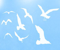 Seagull wall art stickers. Different sizes and lots of colours to choose from.