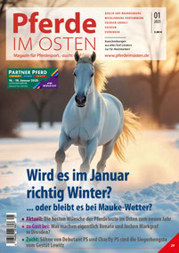 Januar 2025