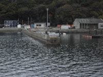 本浦漁港　波止