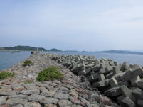 角島 尾山港 はこちらからどうぞ