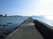 勝浦漁港 はこちらからどうぞ