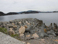 本浦漁港 はこちらからどうぞ