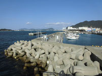 大里海岸緑地 はこちらからどうぞ