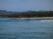 花鶴川河口周辺　砂浜の波止